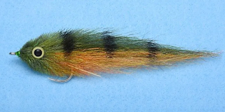 EP Dorado - Baby Peacock - 1/0 Standard