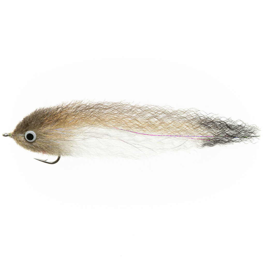 EP Roosterfish - Mullet