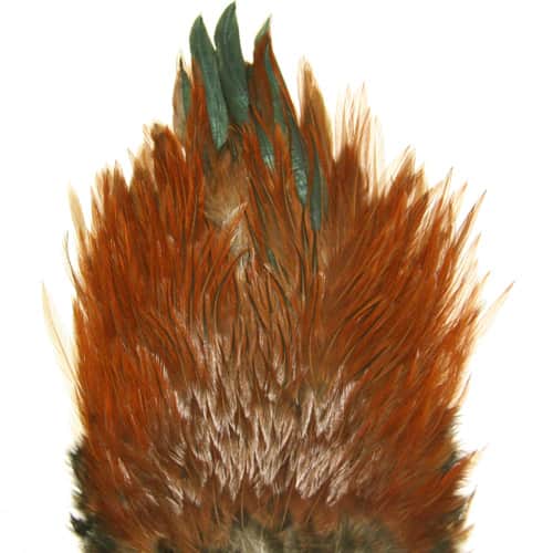 American Rooster Saddle – Mangrove Outfitters Fly Shop