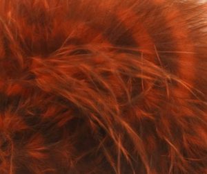 MFC Barred Marabou