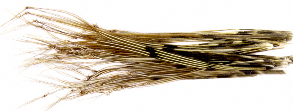 Rainy's Knotted Hopper Legs