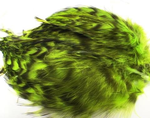 Wapsi Barred Strung Neck Hackle